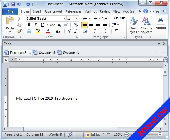 Link download Microsoft Office 2010 Portable