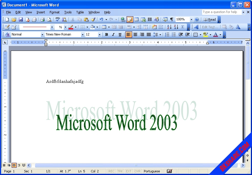 Link download Microsoft Office 2003 Portable